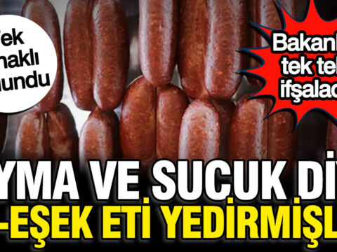 Bakanlik 3 firmayi ifsaladi sucuk ve kiyma diye at esek eti yedirmisler 4RdTuR3u